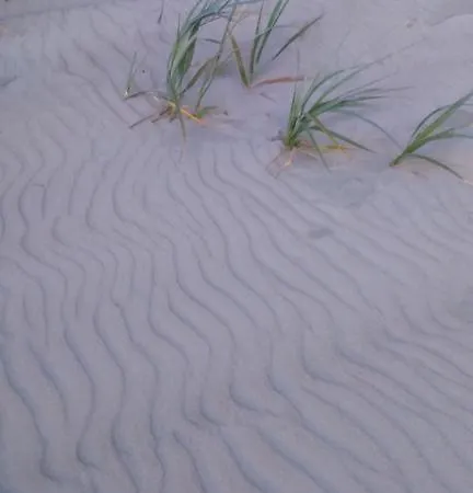 Mar Baltico
